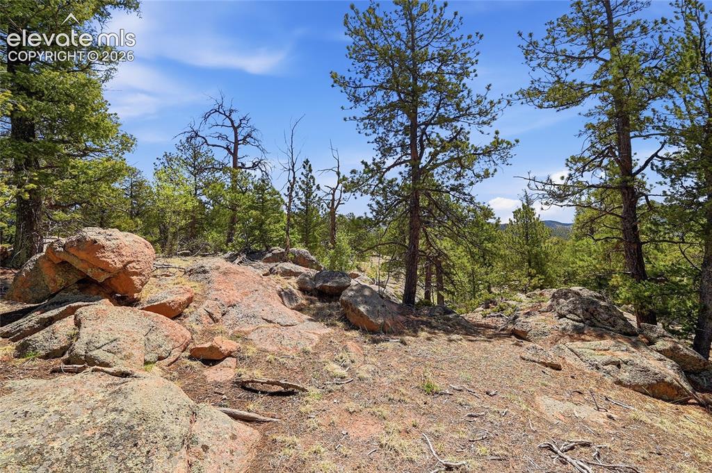 7070 County Road 1 Cripple Creek CO 80813