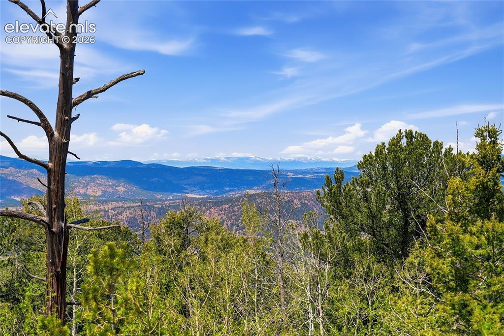 7070 County Road 1 Cripple Creek CO 80813