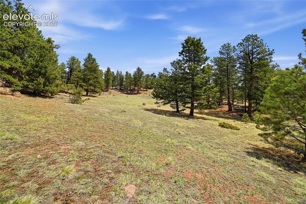 7070 County Road 1 Cripple Creek CO 80813