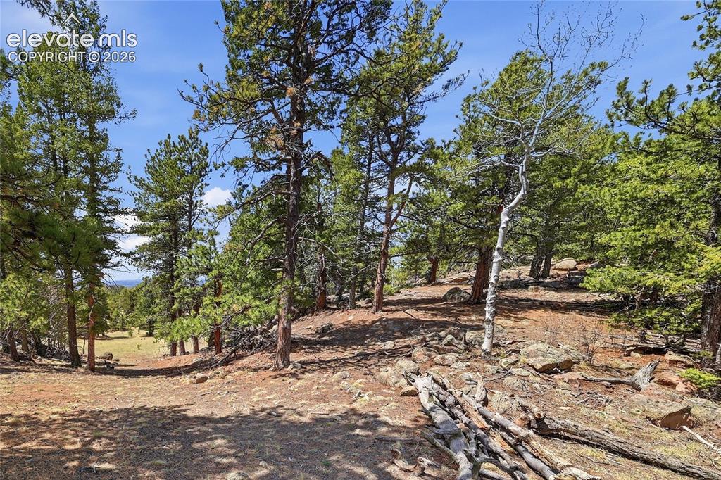 7070 County Road 1 Cripple Creek CO 80813