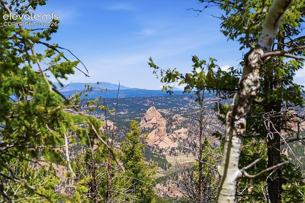 7070 County Road 1 Cripple Creek CO 80813