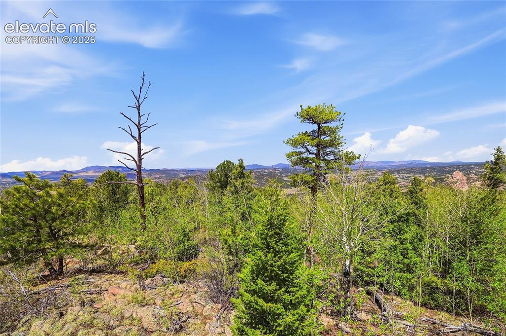 7070 County Road 1 Cripple Creek CO 80813