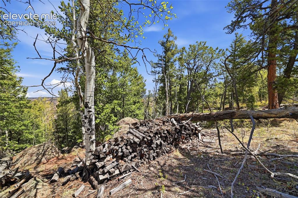 7070 County Road 1 Cripple Creek CO 80813