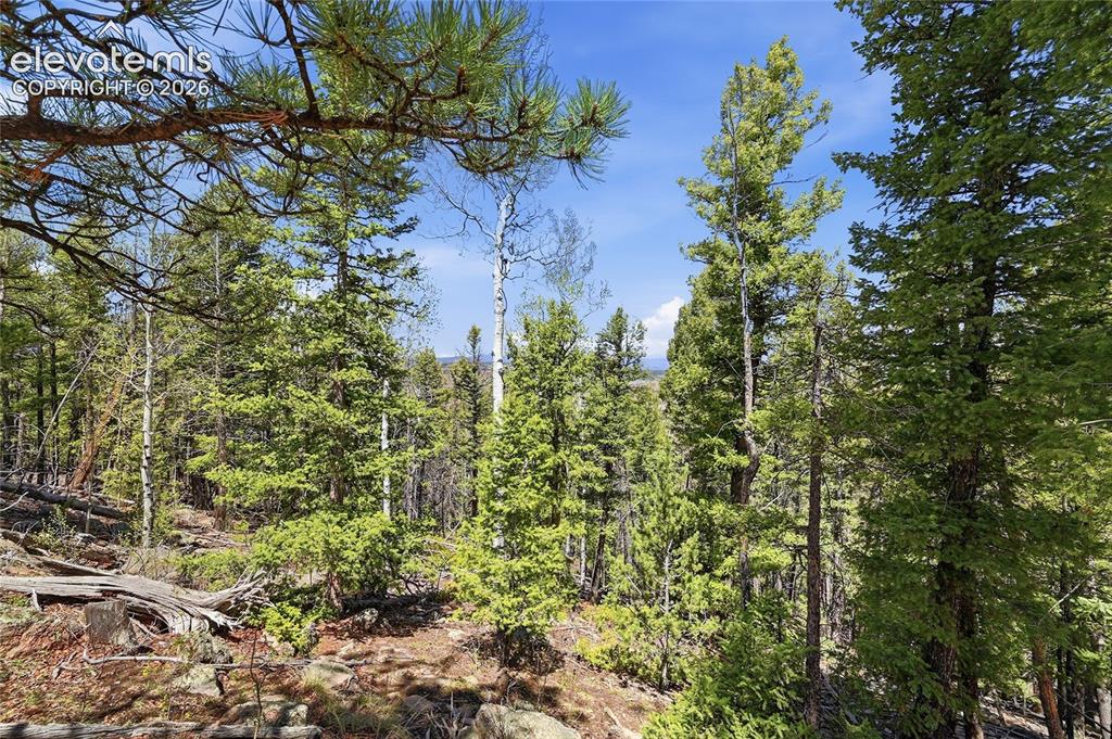 7070 County Road 1 Cripple Creek CO 80813