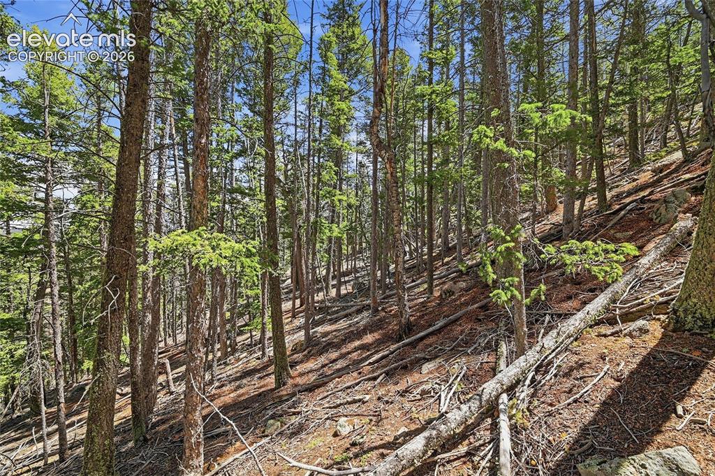 7070 County Road 1 Cripple Creek CO 80813