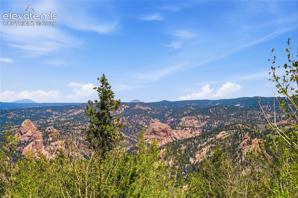 7070 County Road 1 Cripple Creek CO 80813