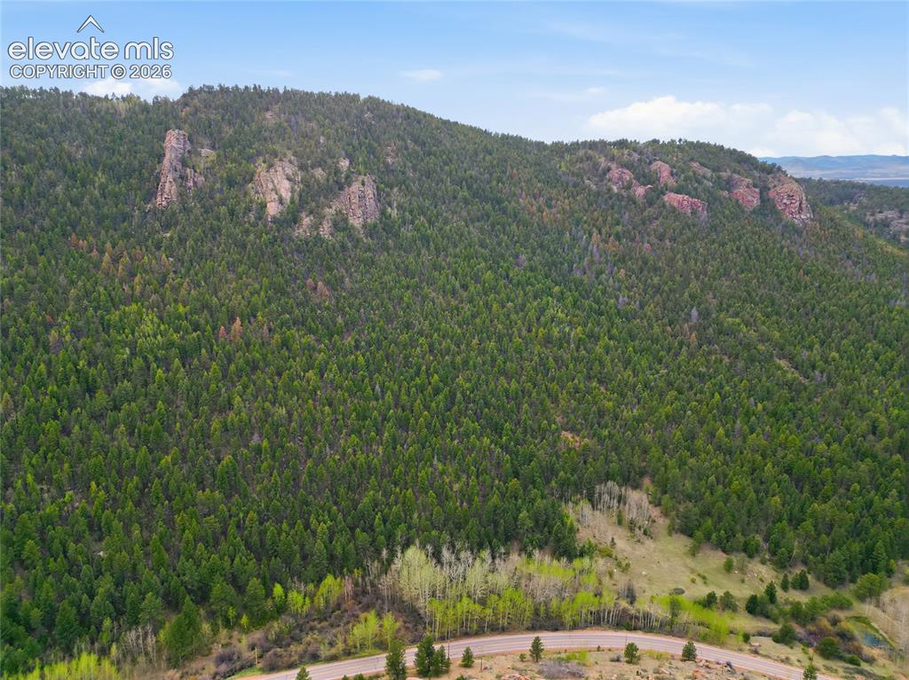 7070 County Road 1 Cripple Creek CO 80813