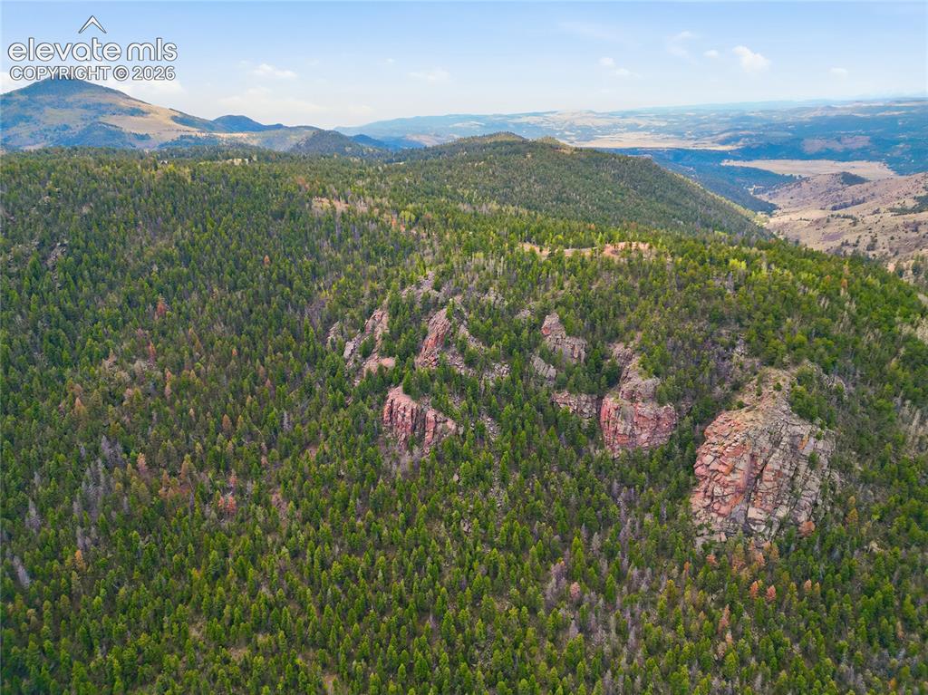 7070 County Road 1 Cripple Creek CO 80813