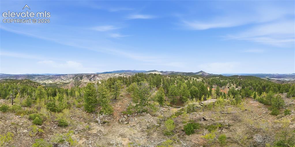 7070 County Road 1 Cripple Creek CO 80813