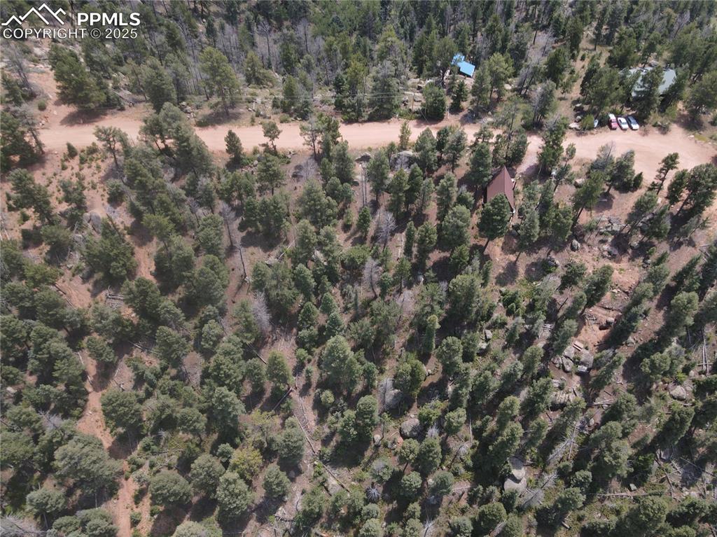 3546 N Mountain Estates Road Florissant CO 80816