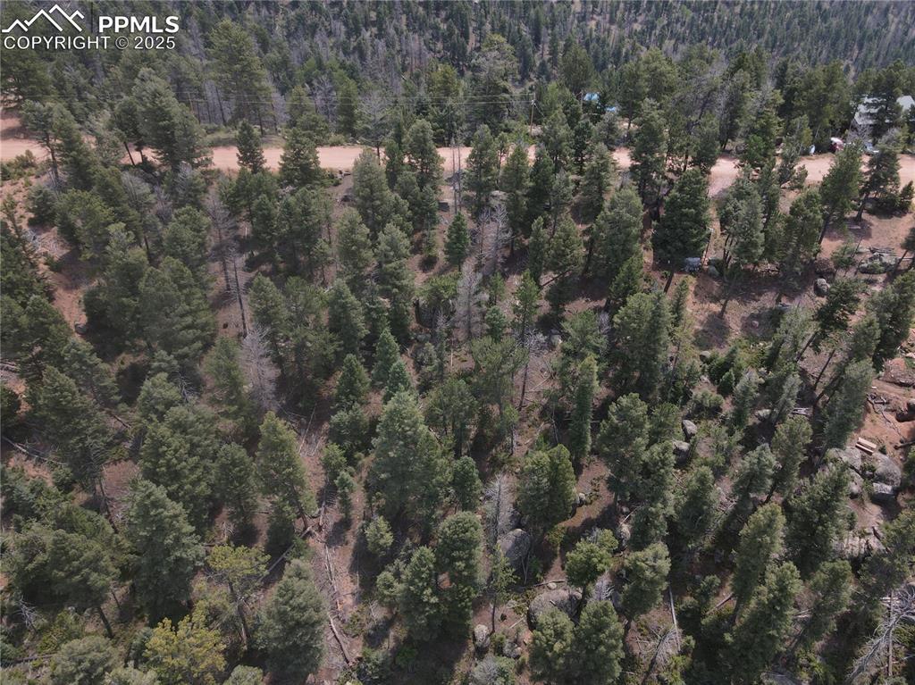 3546 N Mountain Estates Road Florissant CO 80816