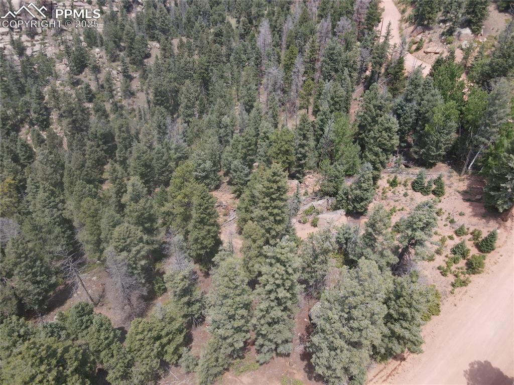3546 N Mountain Estates Road Florissant CO 80816