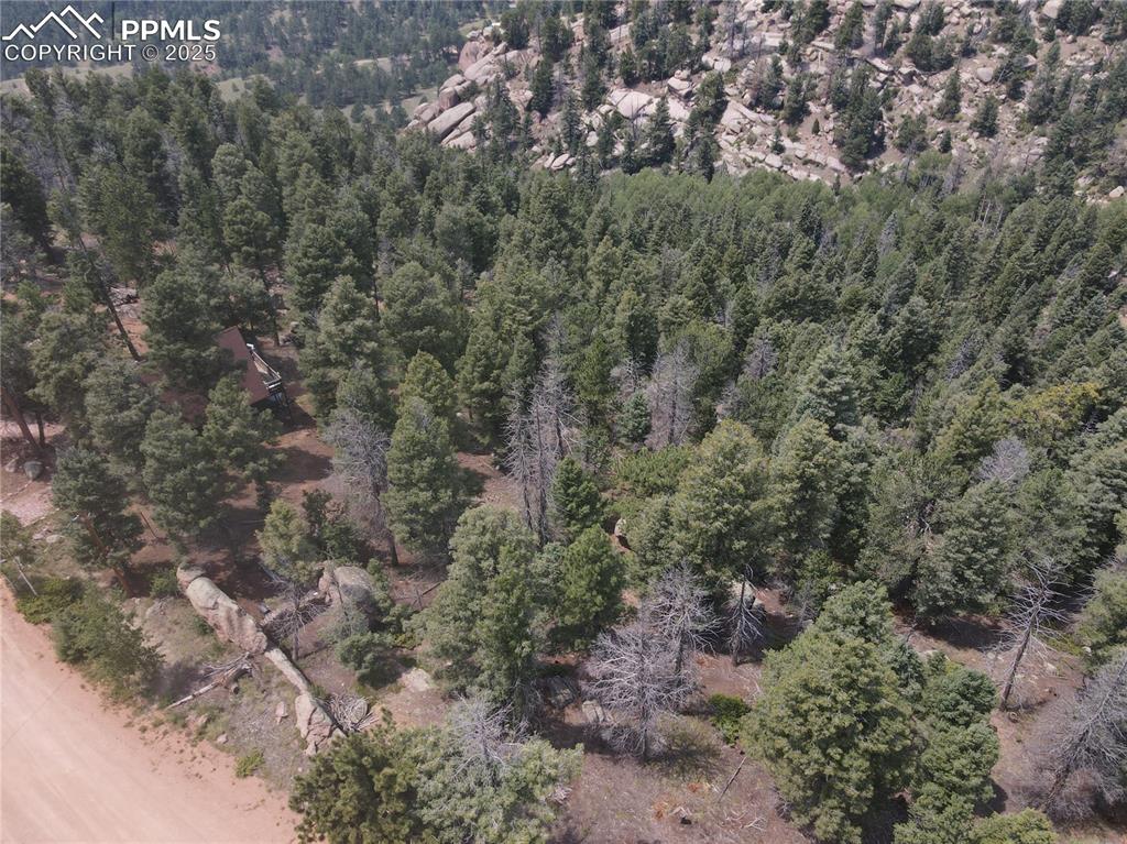 3546 N Mountain Estates Road Florissant CO 80816