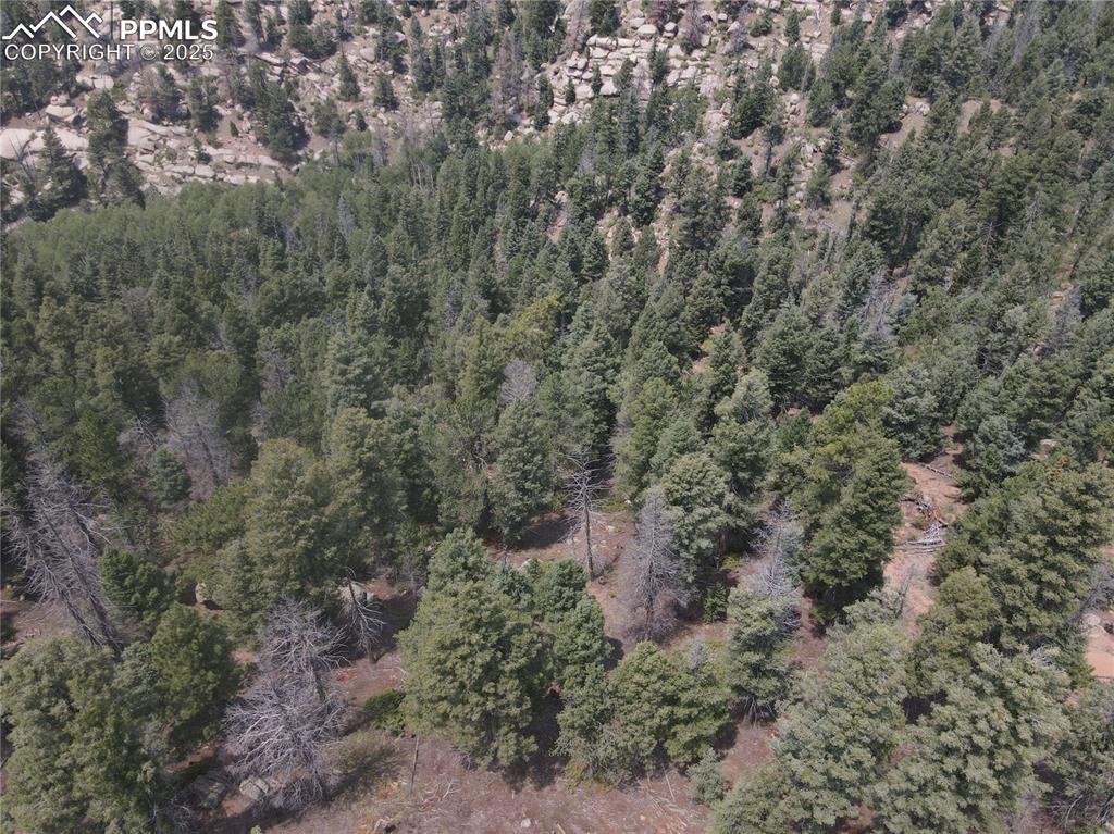 3546 N Mountain Estates Road Florissant CO 80816
