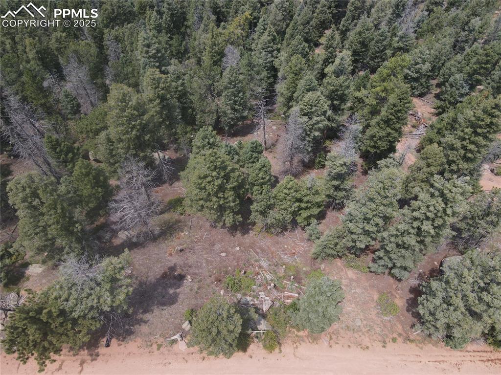 3546 N Mountain Estates Road Florissant CO 80816