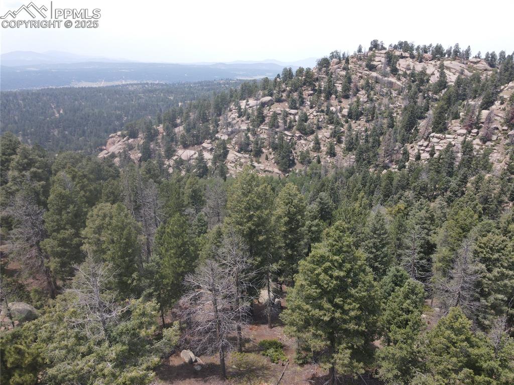3546 N Mountain Estates Road Florissant CO 80816