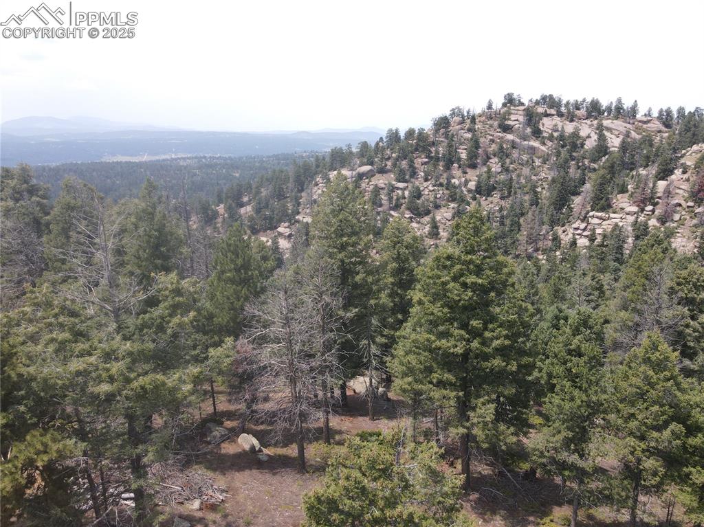 3546 N Mountain Estates Road Florissant CO 80816
