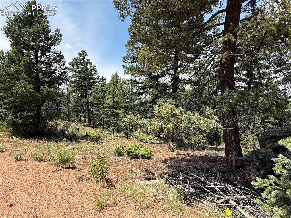3546 N Mountain Estates Road Florissant CO 80816
