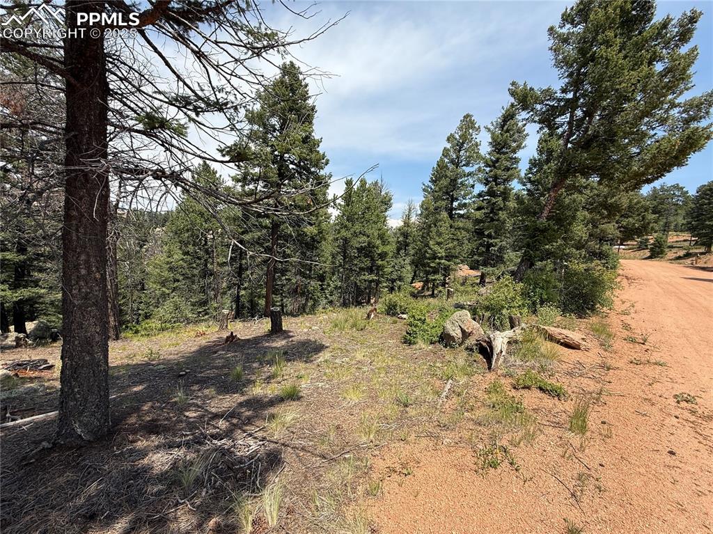 3546 N Mountain Estates Road Florissant CO 80816