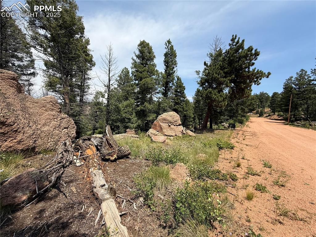 3546 N Mountain Estates Road Florissant CO 80816