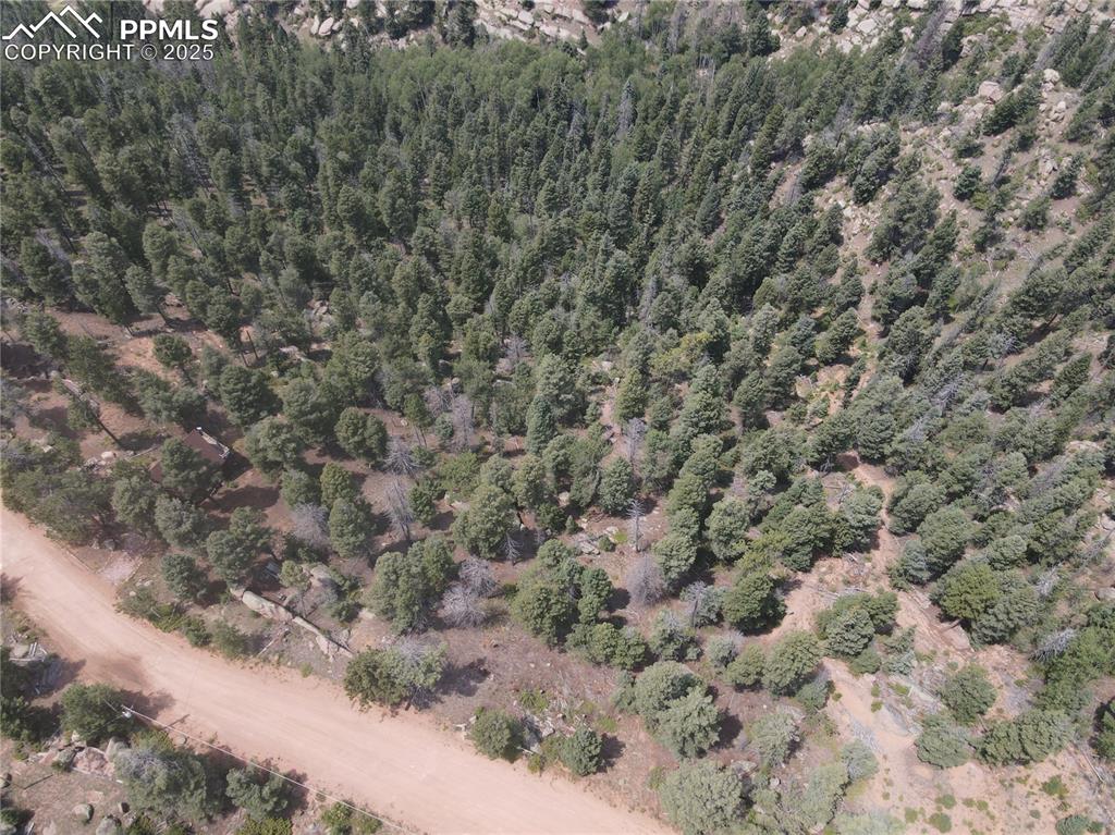 3546 N Mountain Estates Road Florissant CO 80816