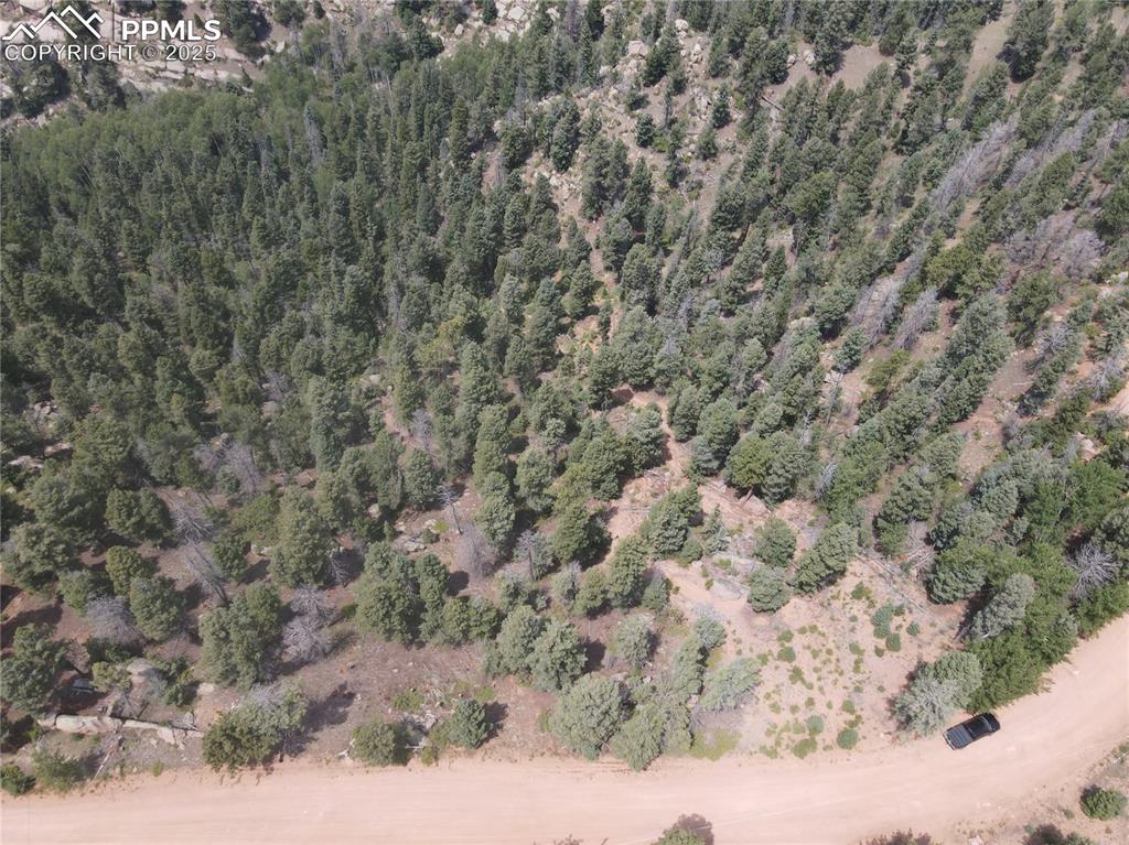 3546 N Mountain Estates Road Florissant CO 80816