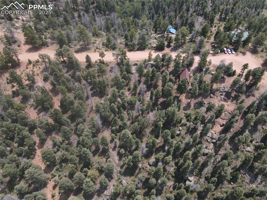 3546 N Mountain Estates Road Florissant CO 80816