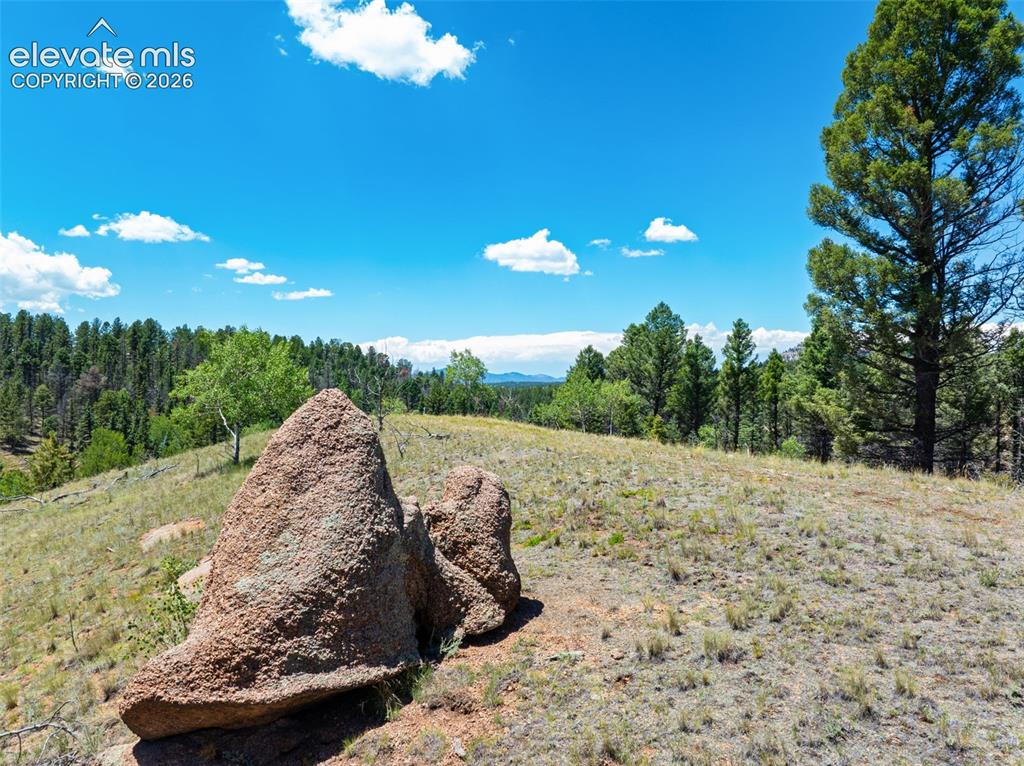 404 Morning Star Creek Trail Florissant CO 80816