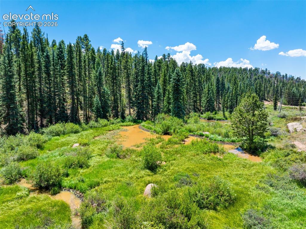 404 Morning Star Creek Trail Florissant CO 80816