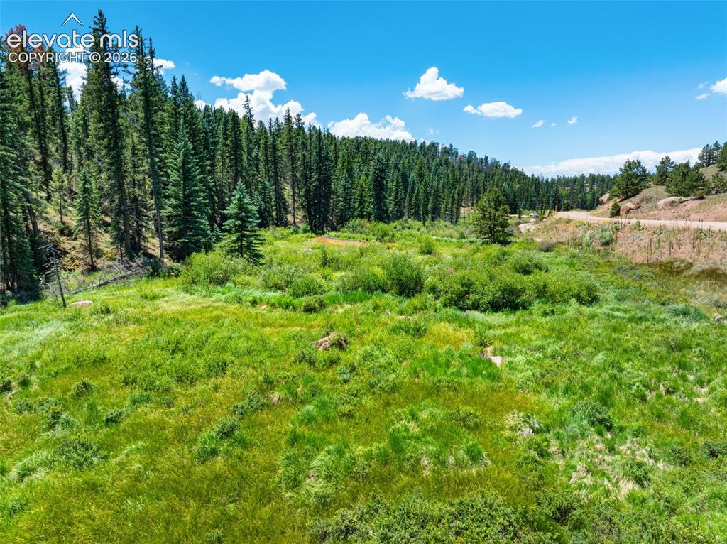 404 Morning Star Creek Trail Florissant CO 80816