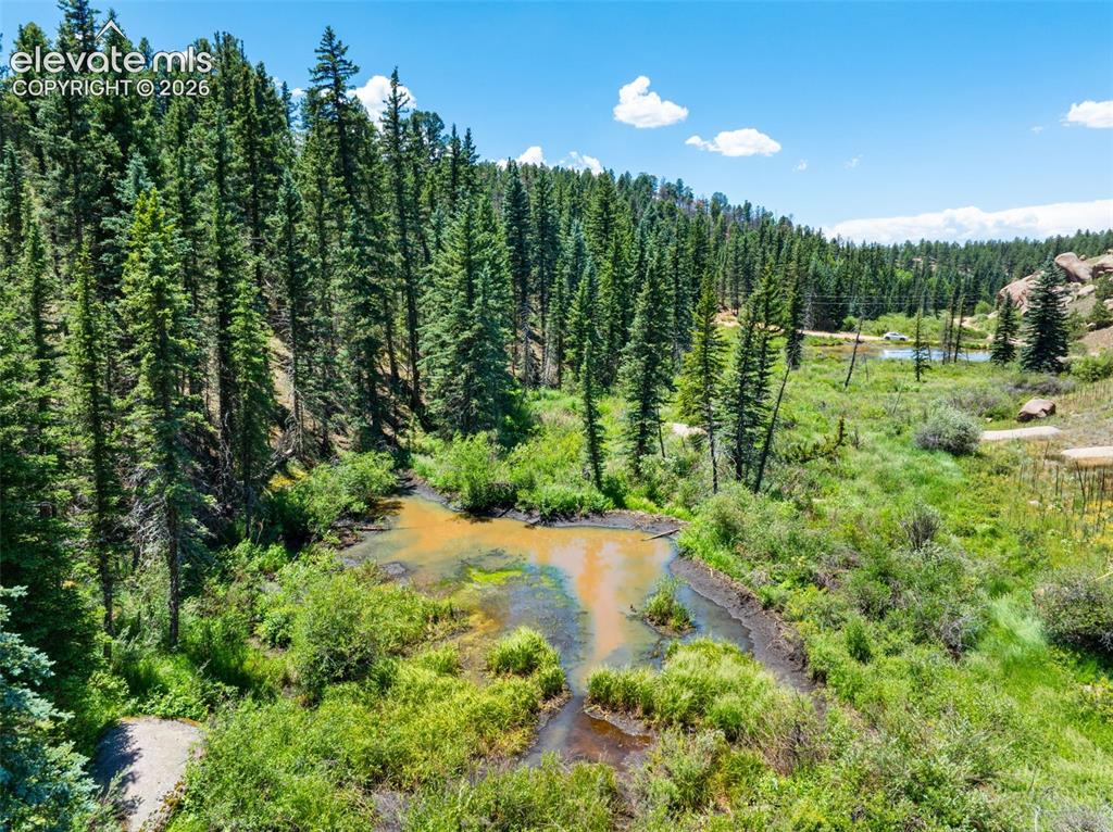 404 Morning Star Creek Trail Florissant CO 80816