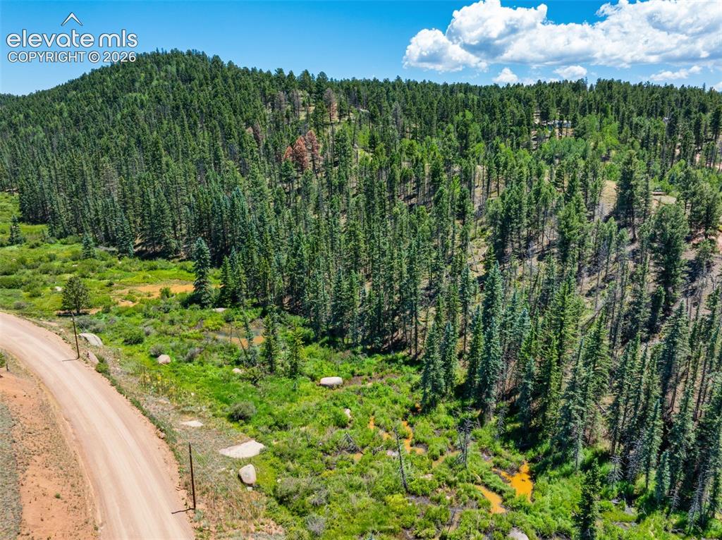 404 Morning Star Creek Trail Florissant CO 80816