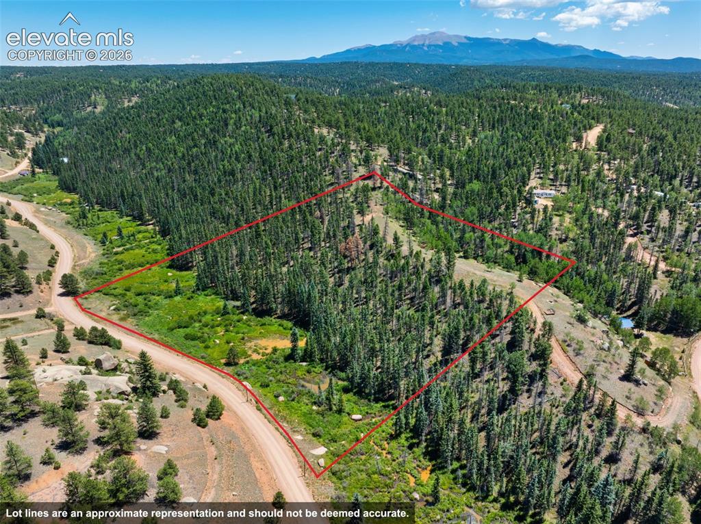404 Morning Star Creek Trail Florissant CO 80816