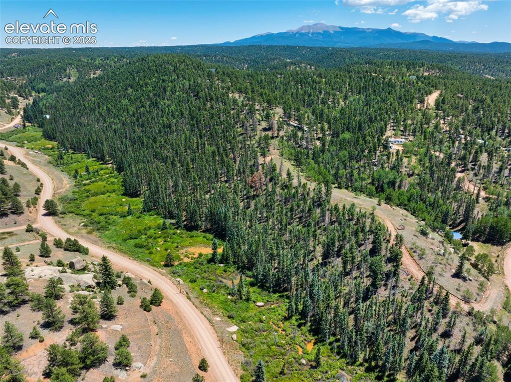 404 Morning Star Creek Trail Florissant CO 80816