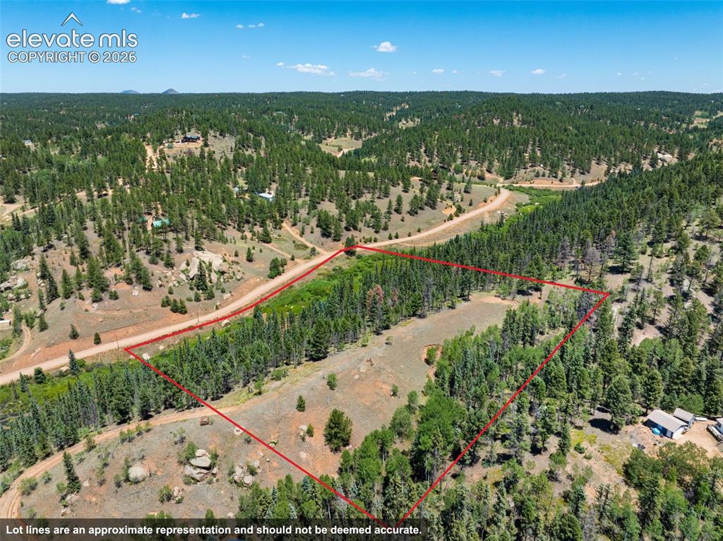 404 Morning Star Creek Trail Florissant CO 80816
