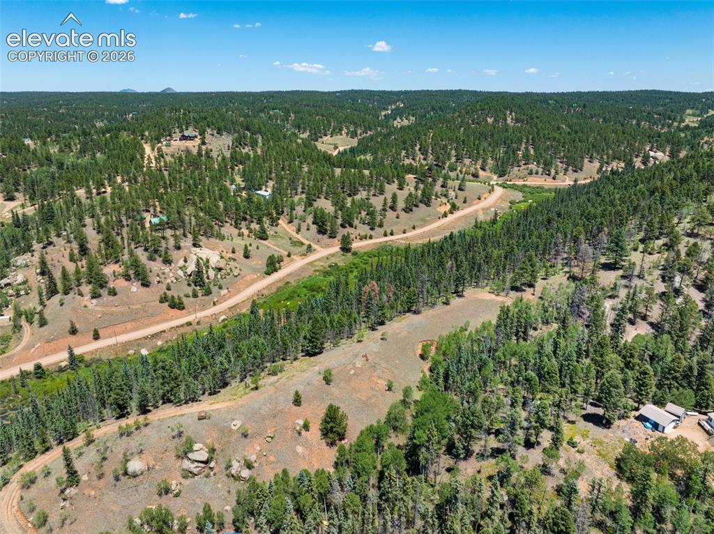 404 Morning Star Creek Trail Florissant CO 80816