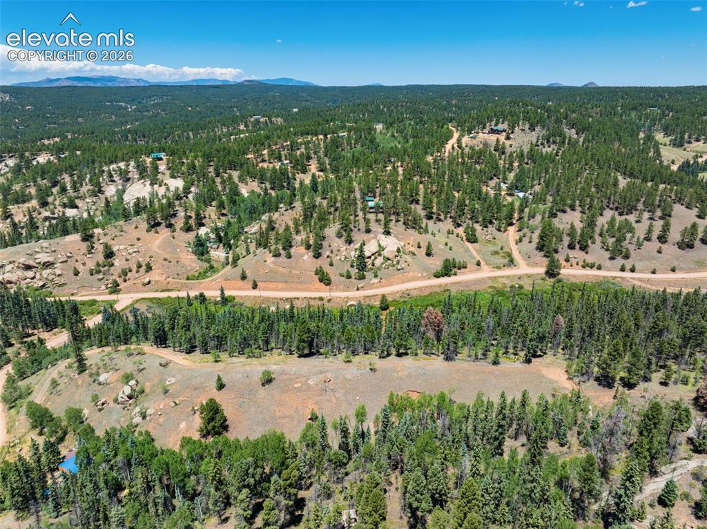 404 Morning Star Creek Trail Florissant CO 80816