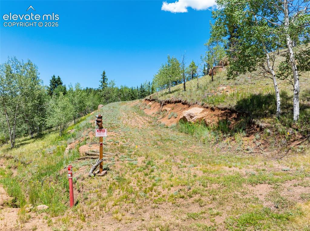 404 Morning Star Creek Trail Florissant CO 80816