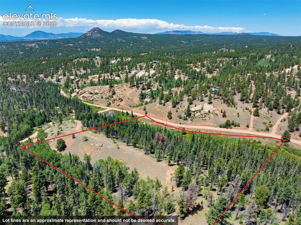 404 Morning Star Creek Trail Florissant CO 80816