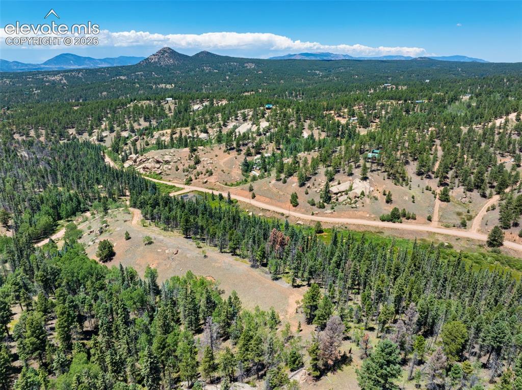 404 Morning Star Creek Trail Florissant CO 80816