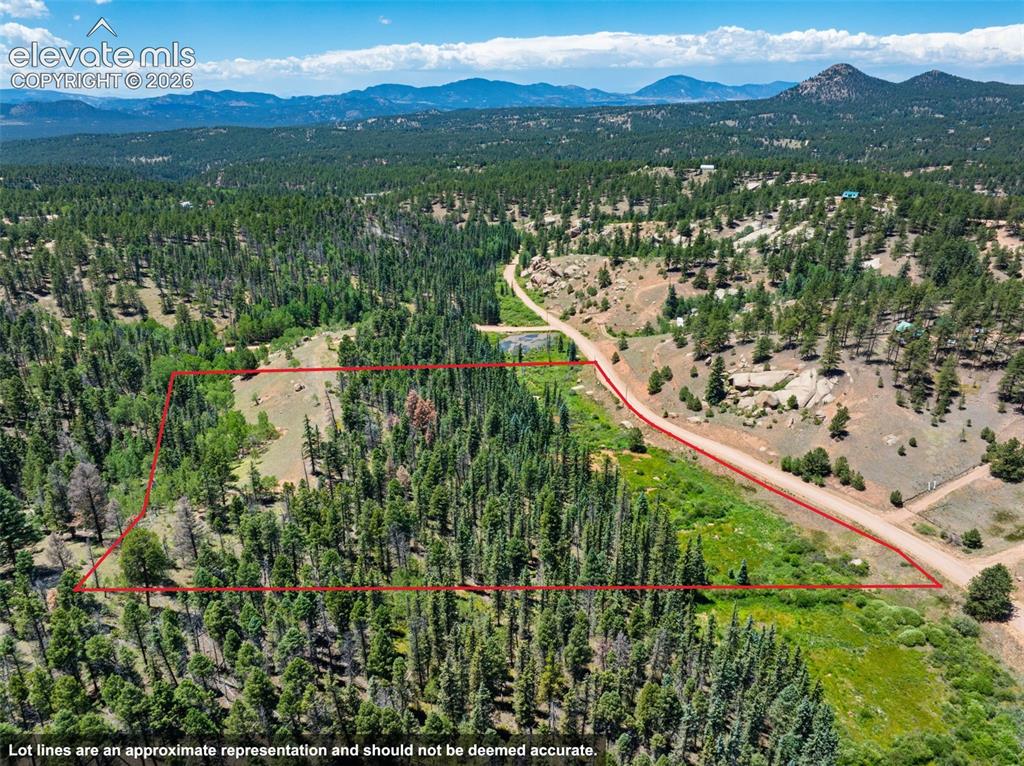 404 Morning Star Creek Trail Florissant CO 80816