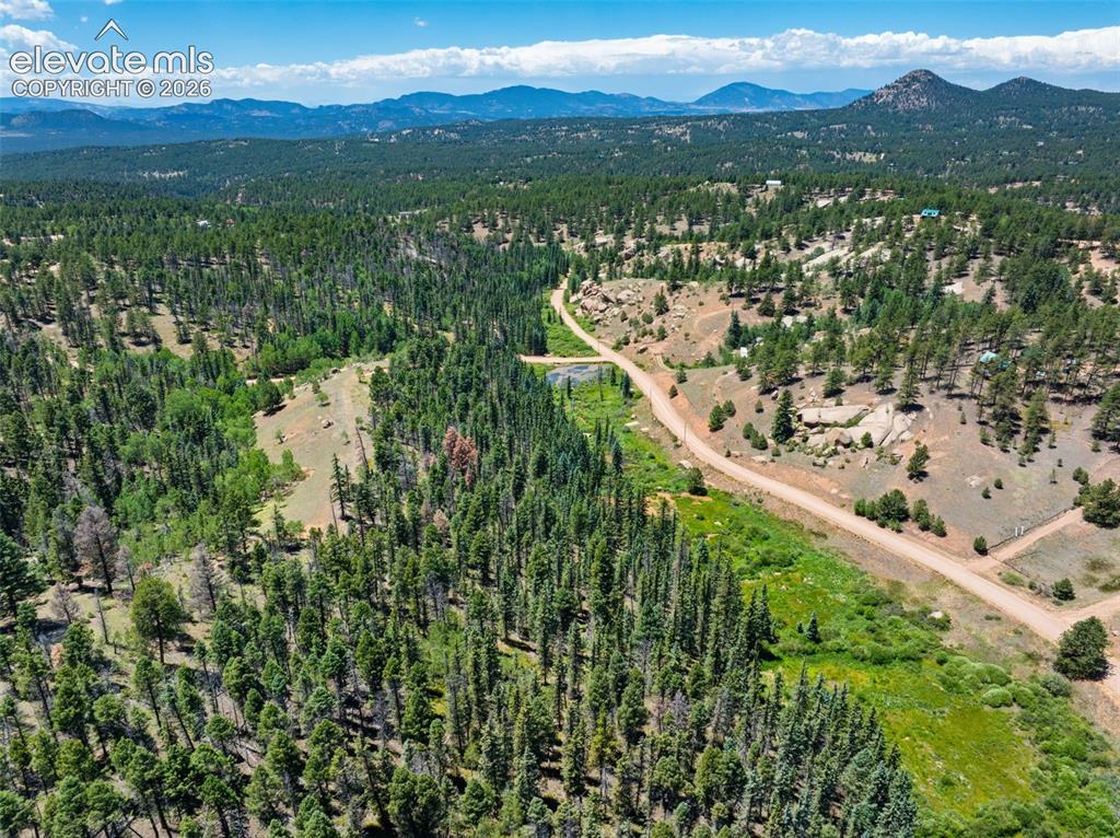 404 Morning Star Creek Trail Florissant CO 80816