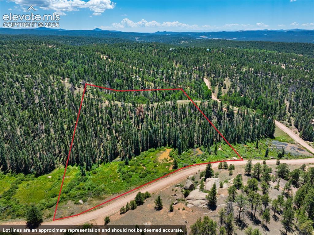 404 Morning Star Creek Trail Florissant CO 80816
