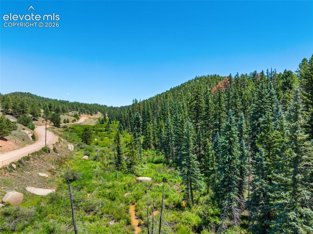 404 Morning Star Creek Trail Florissant CO 80816
