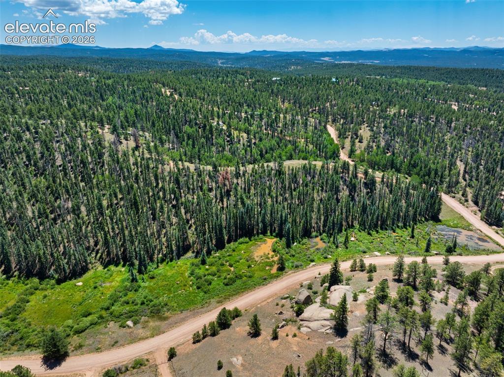 404 Morning Star Creek Trail Florissant CO 80816