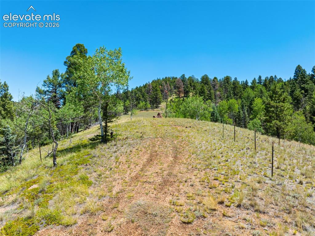 404 Morning Star Creek Trail Florissant CO 80816