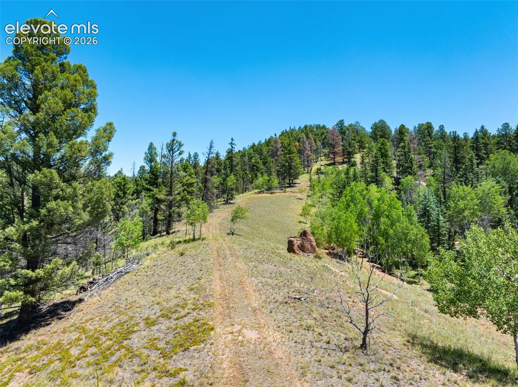 404 Morning Star Creek Trail Florissant CO 80816