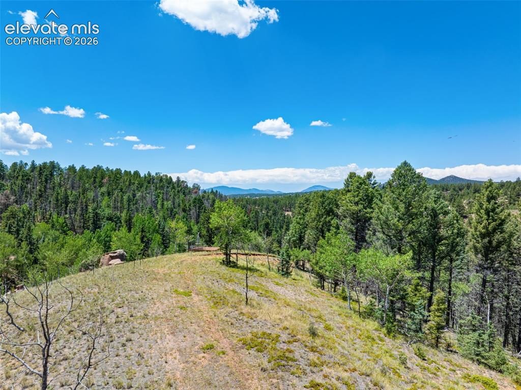 404 Morning Star Creek Trail Florissant CO 80816