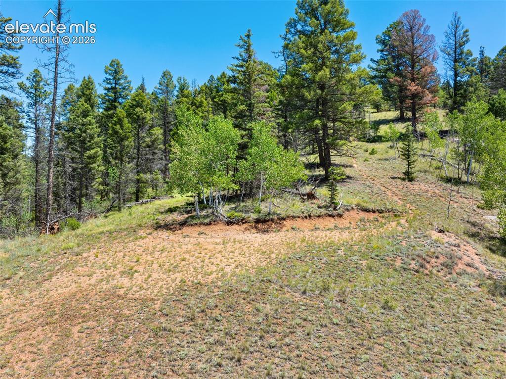 404 Morning Star Creek Trail Florissant CO 80816
