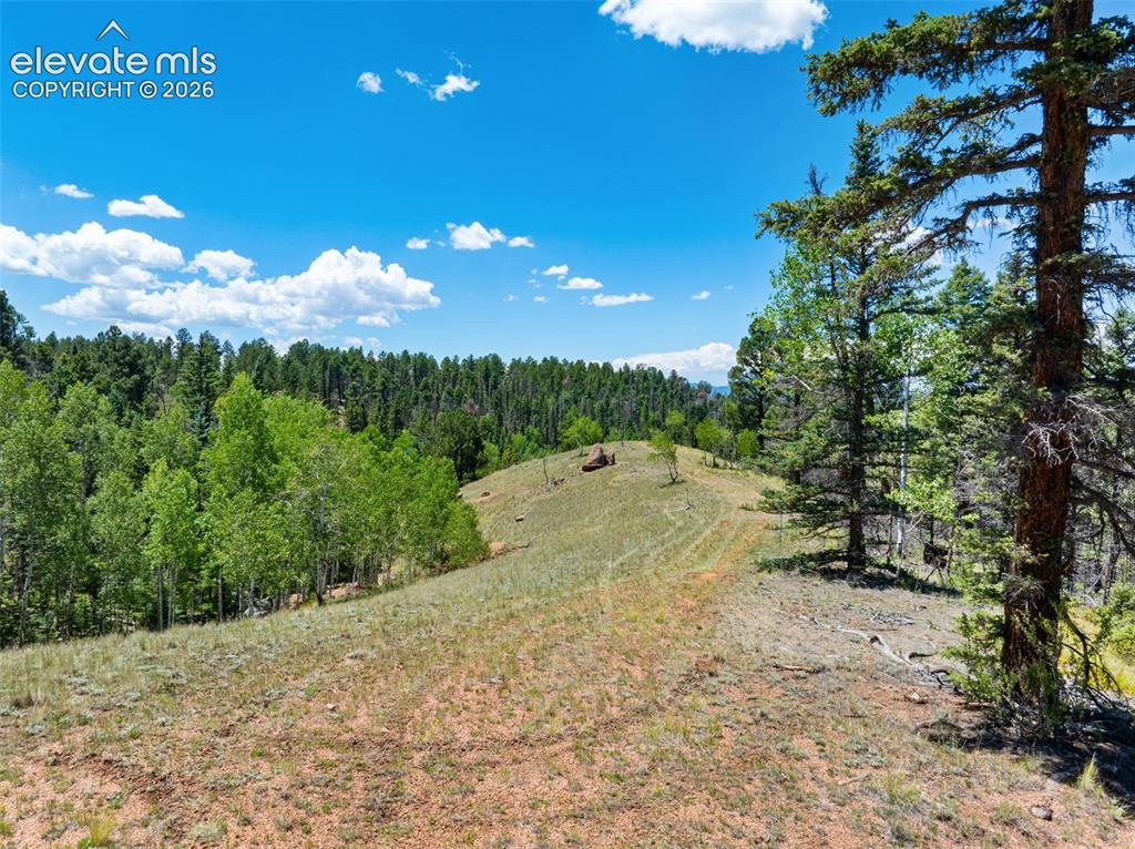 404 Morning Star Creek Trail Florissant CO 80816